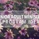 Senior Adult Ministry Program Ideas