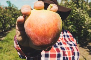 A Liturgy for National Farm Workers Awareness Sunday