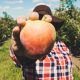 A Liturgy for National Farm Workers Awareness Sunday