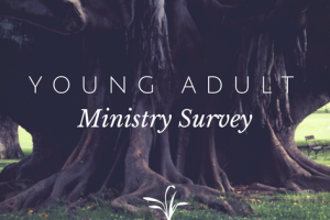 Young Adult Ministry Survey