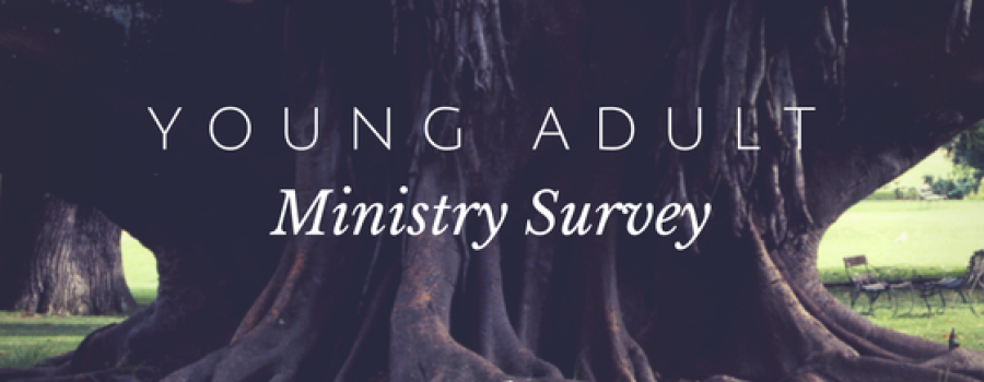 Young Adult Ministry Survey