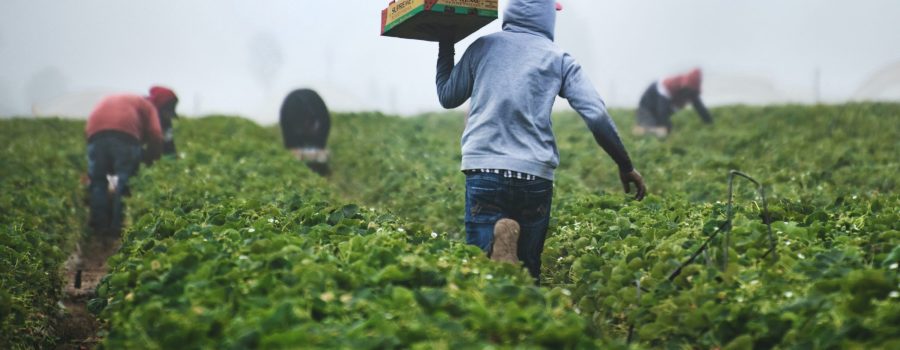 National Farm Workers Awareness Day